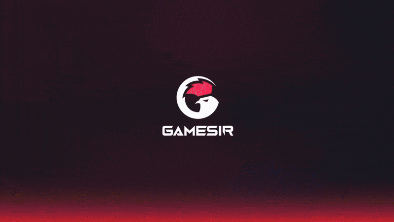 GameSir X5 Lite Demo