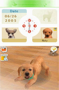 Your Lab puppy getting frisky in Nintendogs Lab & Friends Your Lab puppy getting frisky in Nintendogs Lab & Friends