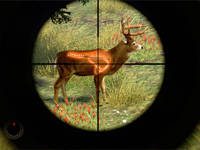 Aim for vital areas