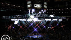 Arena an ring example from 'Fight Night Round 4'