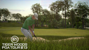 Pro golfer Ben Crane Tiger in Tiger Woods PGA Tour 13 for PS3