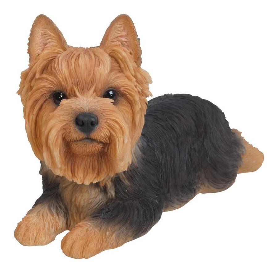Hi-Line Gift Ltd Yorkshire Terrier Dog Lying Down Statue multi color