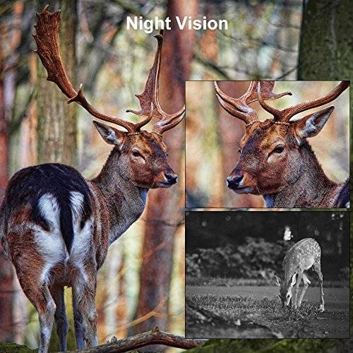Remote Trail Camera Stealth Hunting Camera 1080P HD Night Vision 66 ft Self-timer Motion Sensor IP6