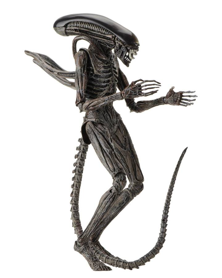 NECA Alien: Covenant - 7" Scale Action Figure - Xenomorph Action Figure