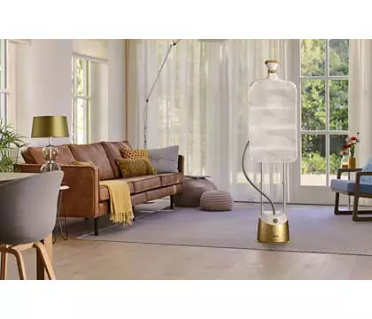 Philips EasyTouch Plus Garment Steamer (Gold)