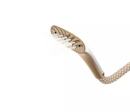 Philips EasyTouch Plus Garment Steamer (Gold)