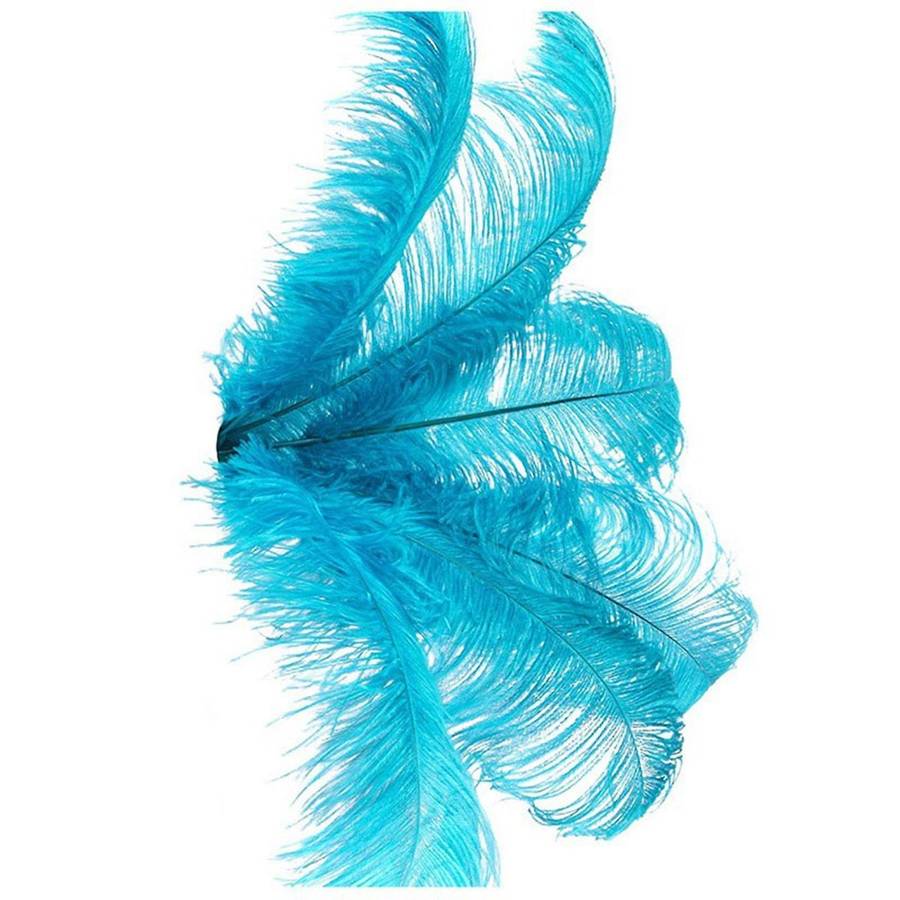 20 Pcs Ostrich Feathers Wedding Party Decoration Lake Blue 20-25cm
