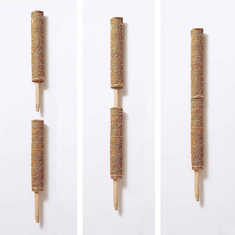 2 Coconut Palm Sticks-support The Forward Growth Of Indoor Plants