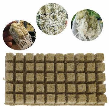 50 Cubes Grodan Rockwool Sheet Block Propagation Cloning Raising
