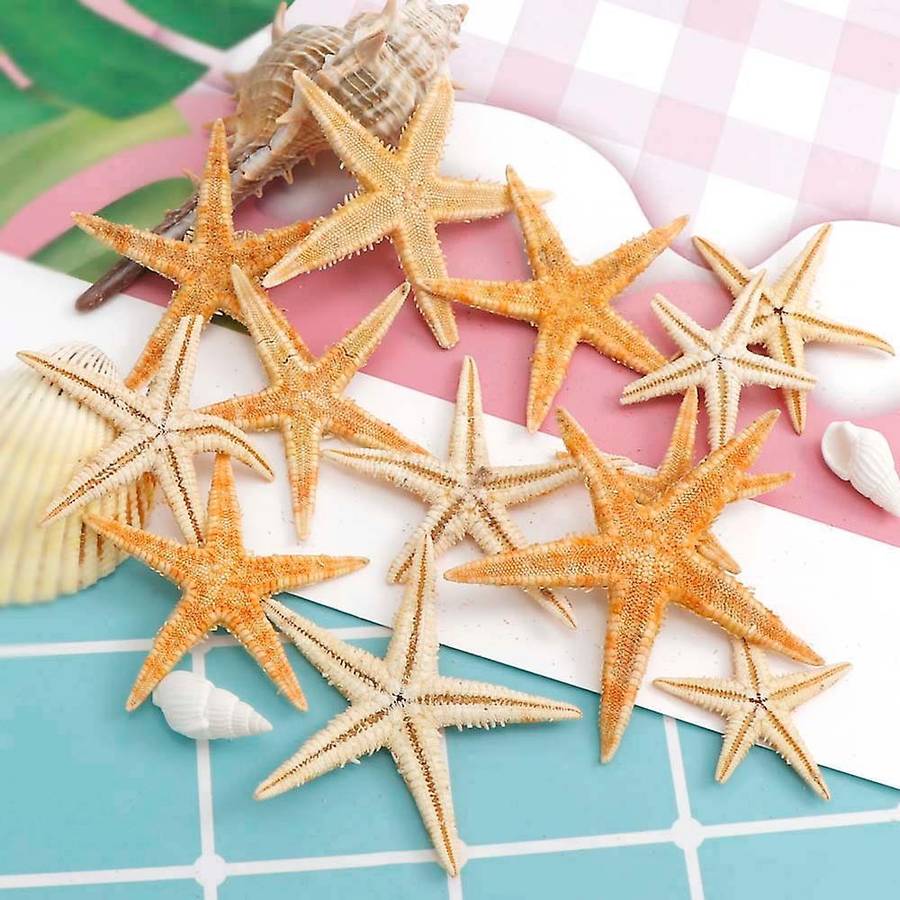 100Pcs Natural Starfish Seashell Beach Craft Natural Sea Stars DIY Beach Wedding Decoration Crafts H