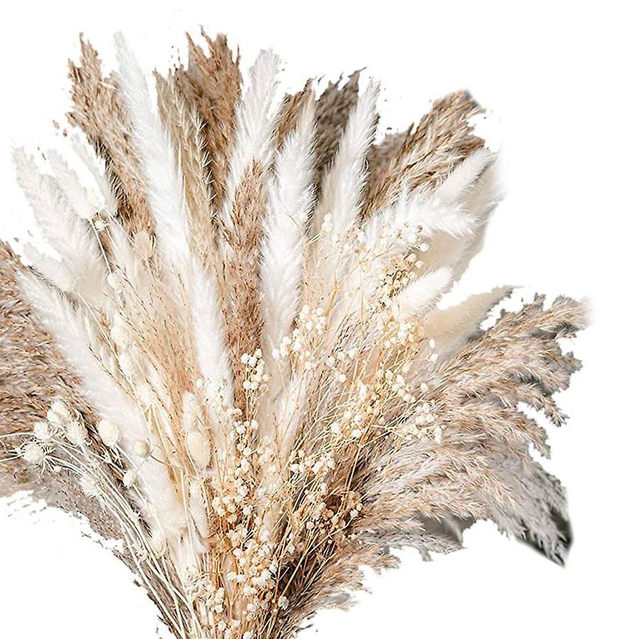 100PCS Natural Dried Pampas Grass Bouquet Dried Flower Compatible Wedding