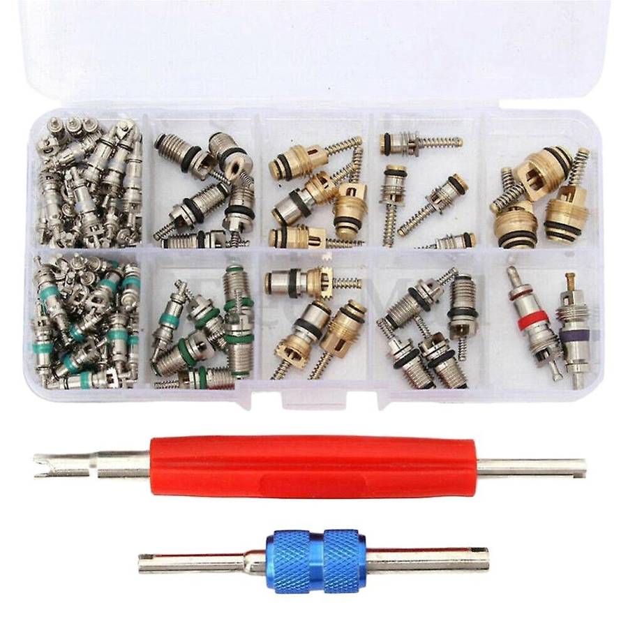 102PCS Universal AC R12 & R134A Air Conditioning Valve Core Remover Installer Tool Kit with 2 Remova