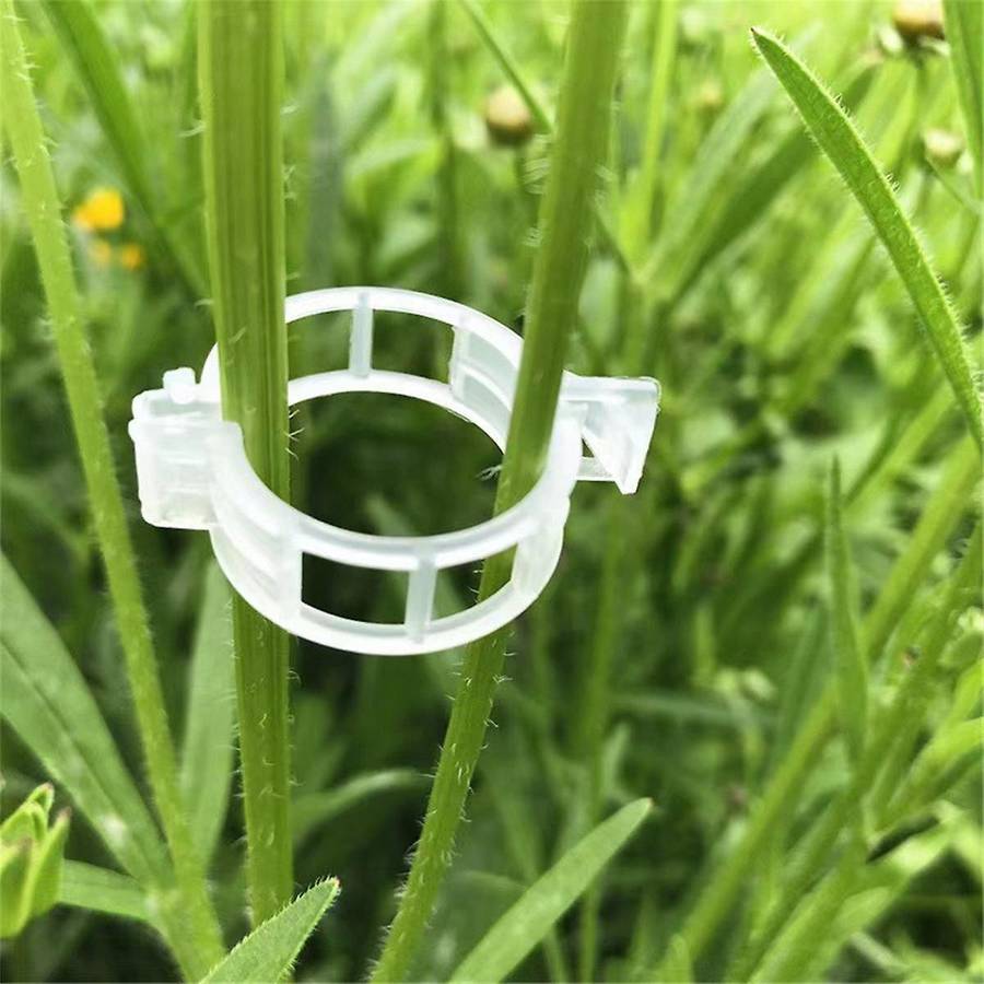 1200PCS Secured Plastic Plant Clip Plant Fixing Clips for Climbing Plants Plastic Support for Garden