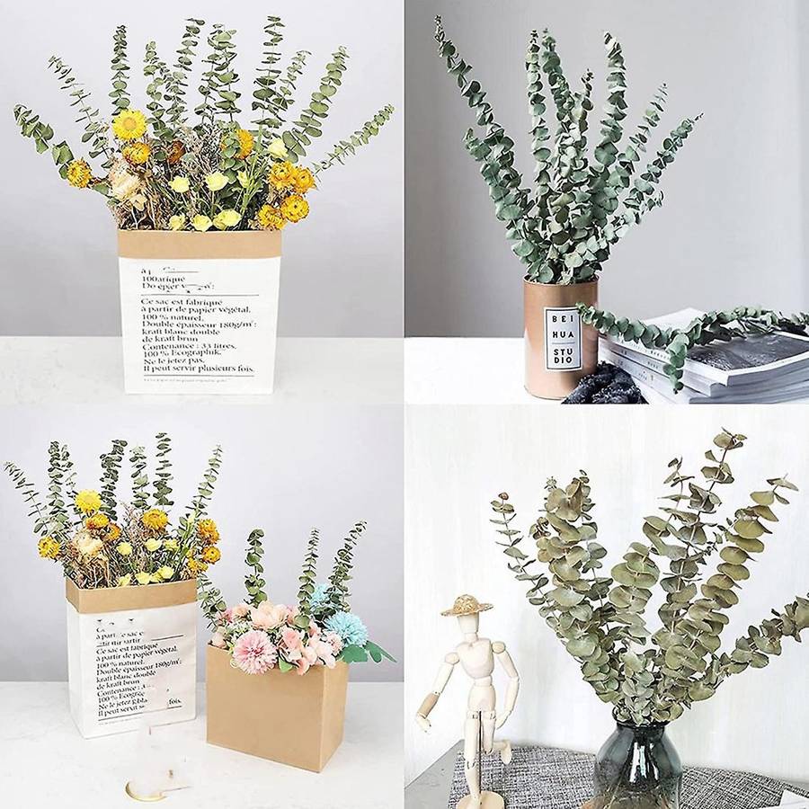 12Pcs Dried Eucalyptus Branches Greenery Stems,17 Inch 100% Live Eucalyptus Leaves Greenery Decor