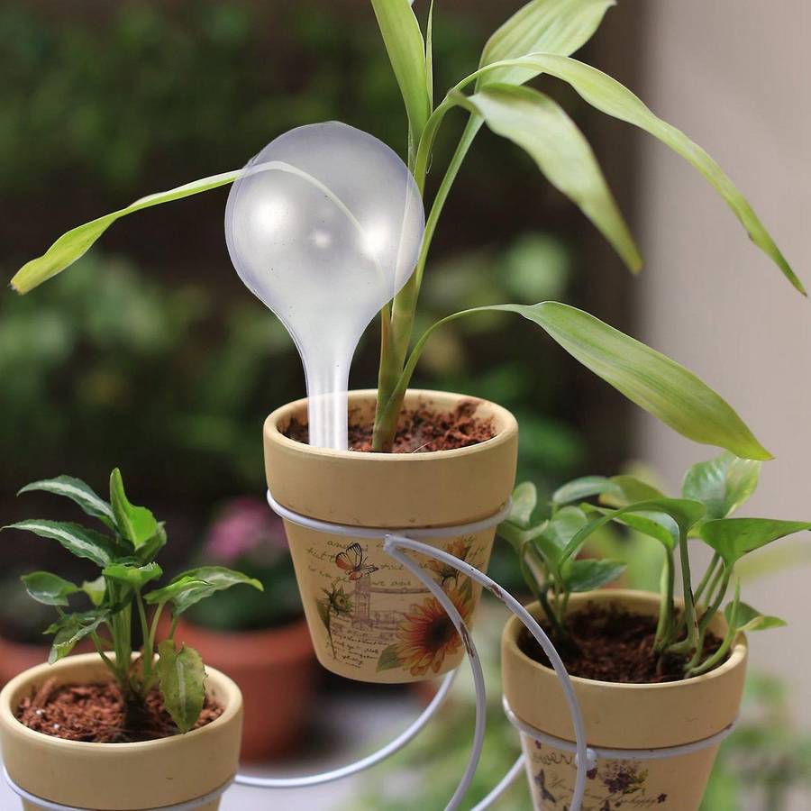 12pcs Plant Watering Bulbs Self-watering Globes Plastic Garden Device