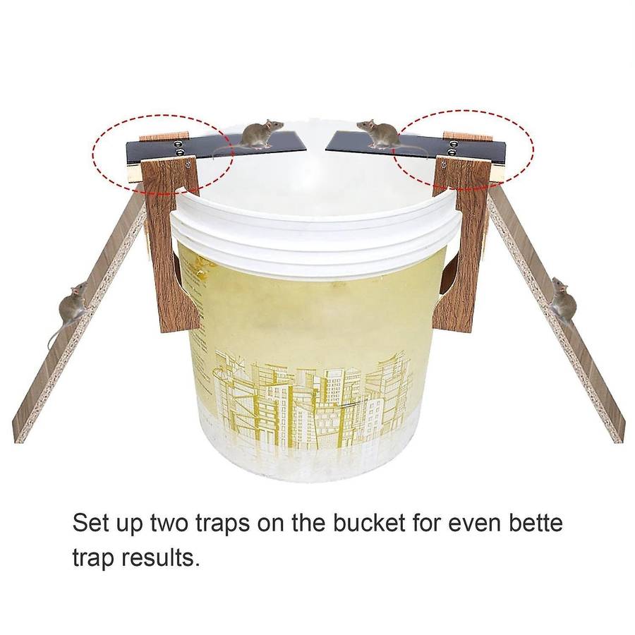 2 Pack Walk The Plank Mouse Trap, Auto Reset Live Catch Rat Trap