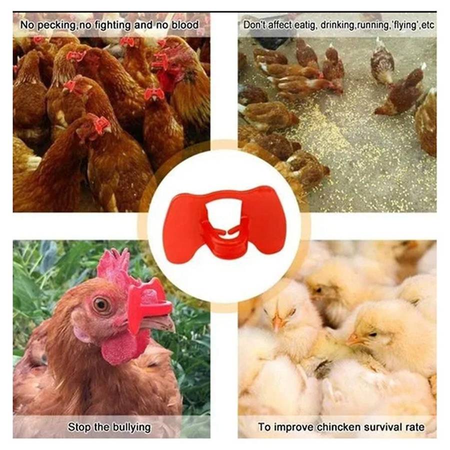 200 Pieces of Glasses for Preventing Chicken Pecking, Anti-Fighting Goggles, Non-Stick Chicken Glas