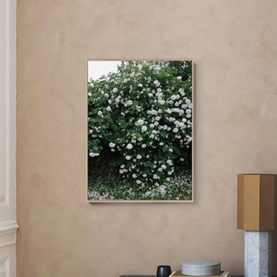 Fashion Poster Rose Flower Feather Nordic Style Wall Art Print Canvas Modern Painting Living Room De