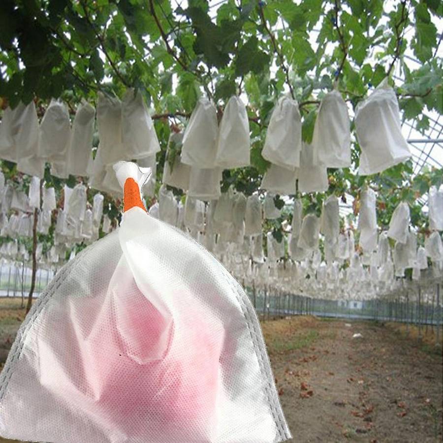 100pcs Grape Protection Bags Agricultural Against Insect Pouch