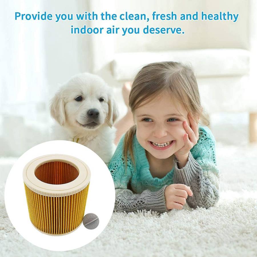 2pcs Replacement Hepa Filter for Karcher Wd2.200 Wd3.500