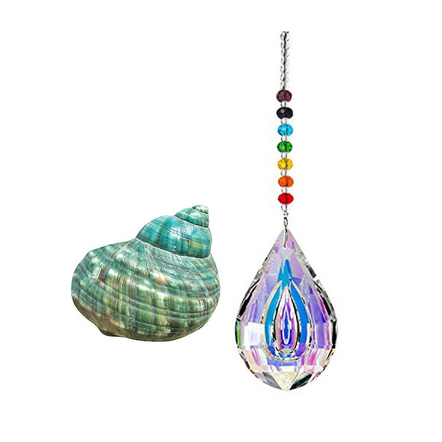 10cm Green Turbo Natural Rare Real Sea Shell Conch Decor Ocean 1pcs