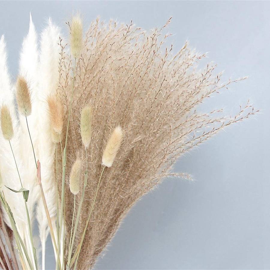 Dried Reed Small Pampas Flowers Artificial Banquet Decoration