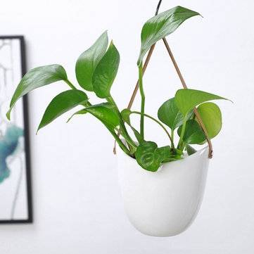 Hanging Rope Ceramic Flower Succulent Pot Planter Vase Home Garden Plant Pot Decor