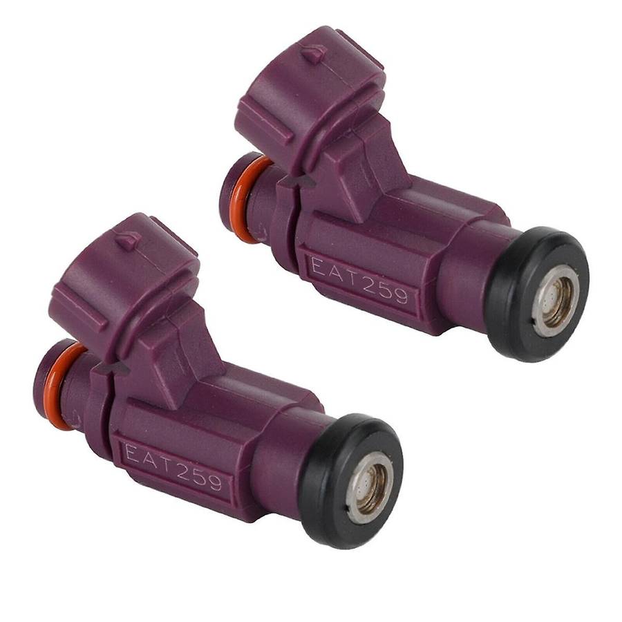 2pcs Fuel Injector Eat259 49033-2060 for Mule 4000 4010 2009-2017