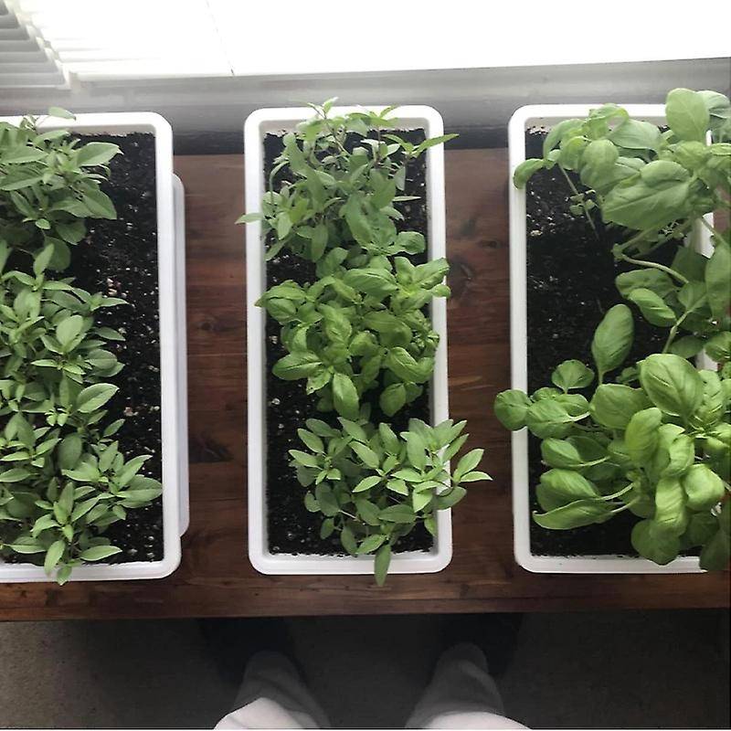 3 Packs 19.6 Inches White Flower Window Boxes Plastic Vegetable for Windowsill, Patio, Garden, Porch