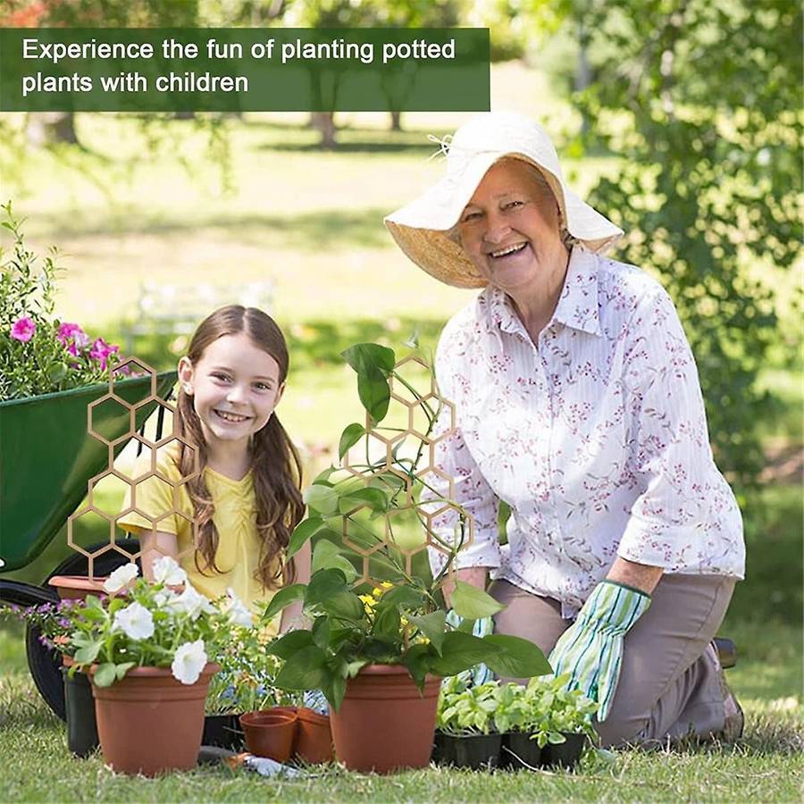 3PCS Wooden Honeycomb Plant Climbing Stand Lattice Climbing Plant Stand Horticultural Potting Stand