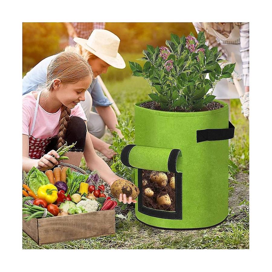 3x 10 Gallon Plant Bags Growing Bag Bags with Window and Handles Potato Planting Bag Non-woven Fabr