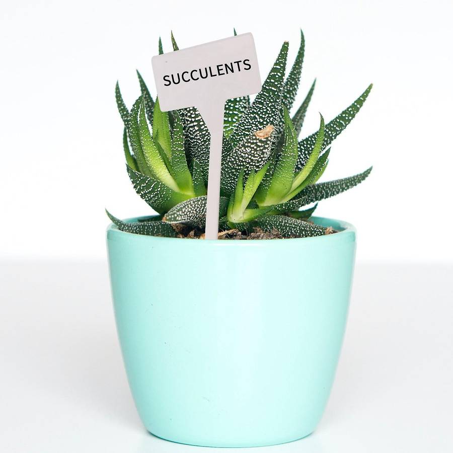 40Pcs Outdoor Plant Label,Waterproof Plastic Plant T-Type Tags, Durable Nursery Garden Markers,Perfe