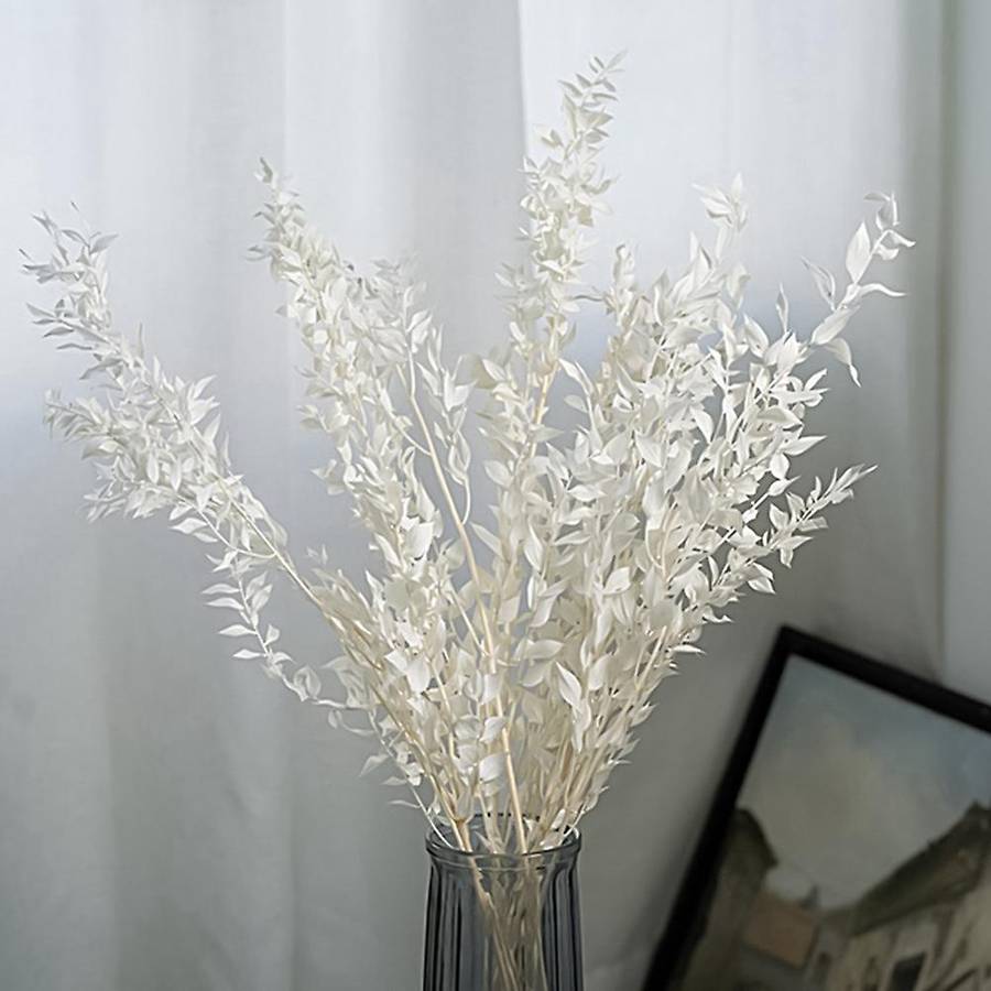 45cm Dried Compatibleever Preserved Ruscus Flowers DIY Compatible Home Decor