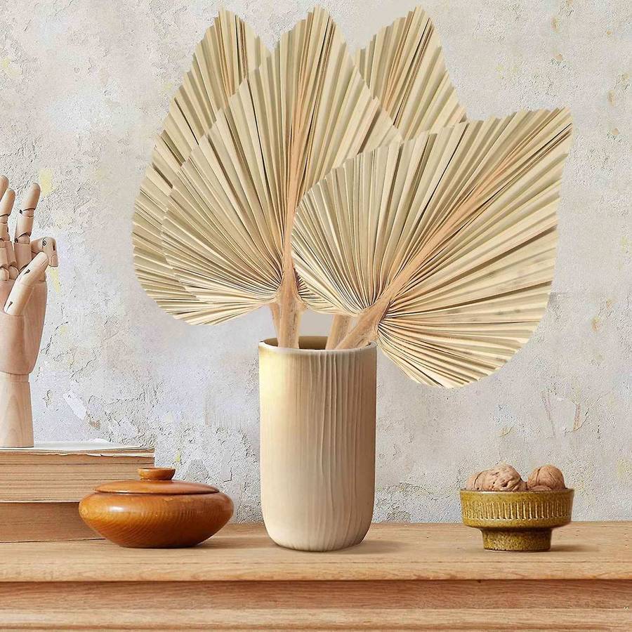 4Pcs Dried Palm Leaves Dried Palm Fans Bohemian Tropical Palm Leaves