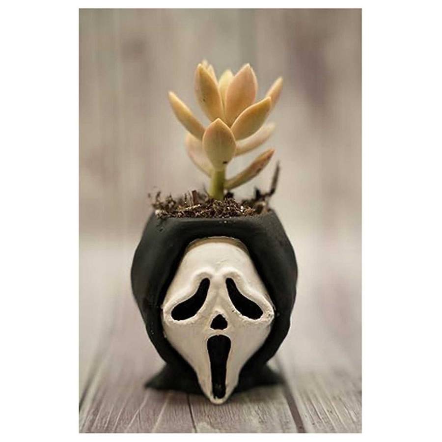 Fun Scary Halloween Succulents Potted Plants, 1pc Small People Cute Succulent Plant Pots for Home De