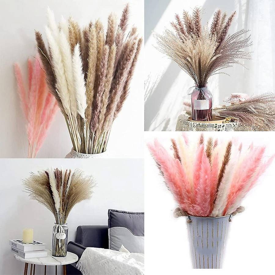 60pcs Natural Dried Pampas Grass Ornament,for Home Boho Wedding Party