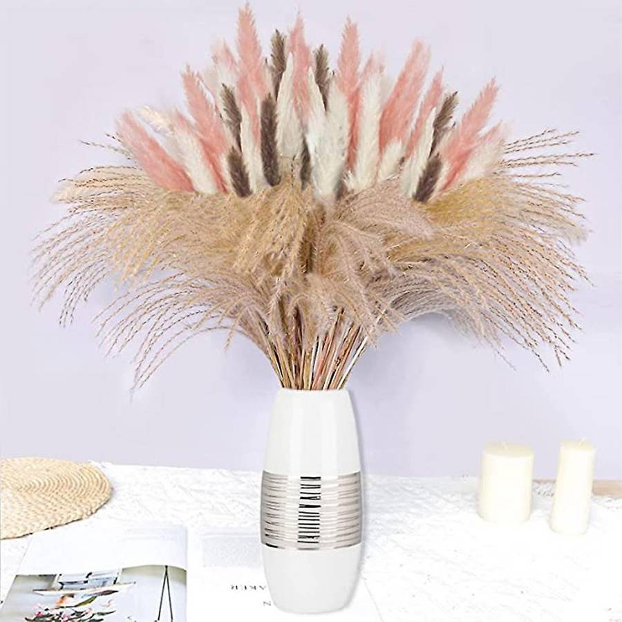 60pcs Natural Dried Pampas Grass Ornament,for Home Boho Wedding Party