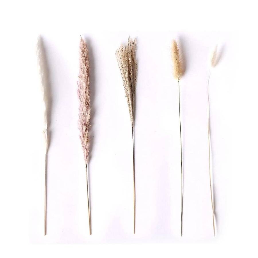 Natural Dried Pampas Grass - 85pcs Boho Home Decor Dried Flowers