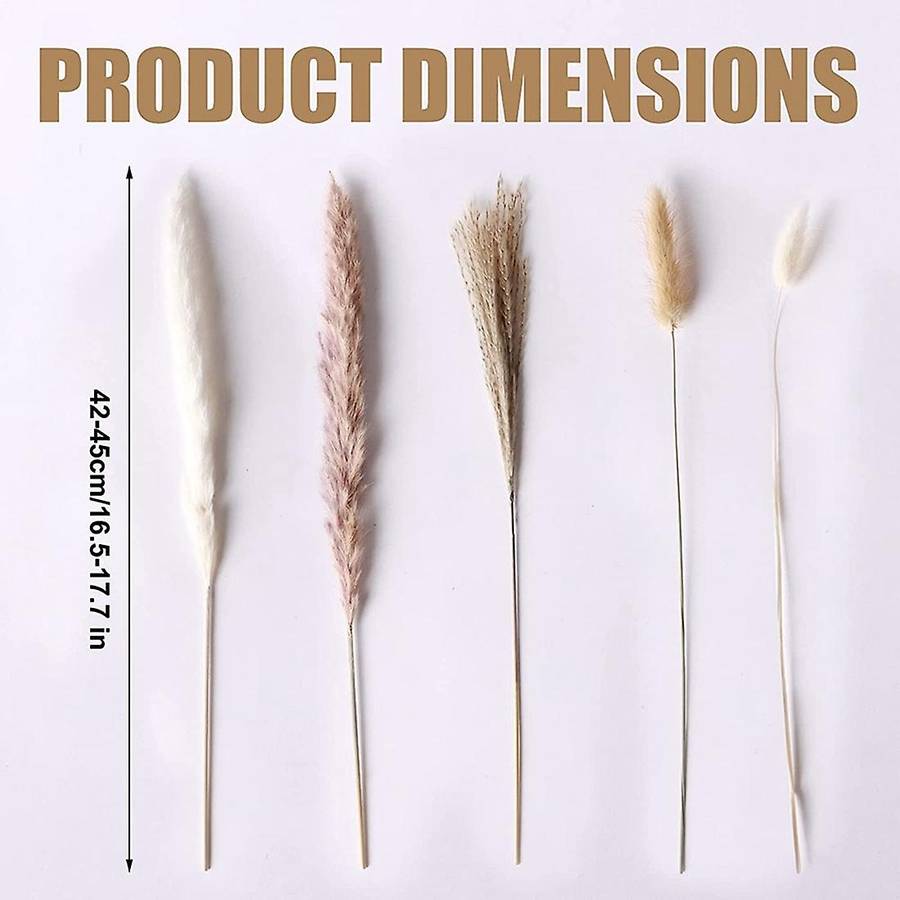 Natural Dried Pampas Grass - 85pcs Boho Home Decor Dried Flowers