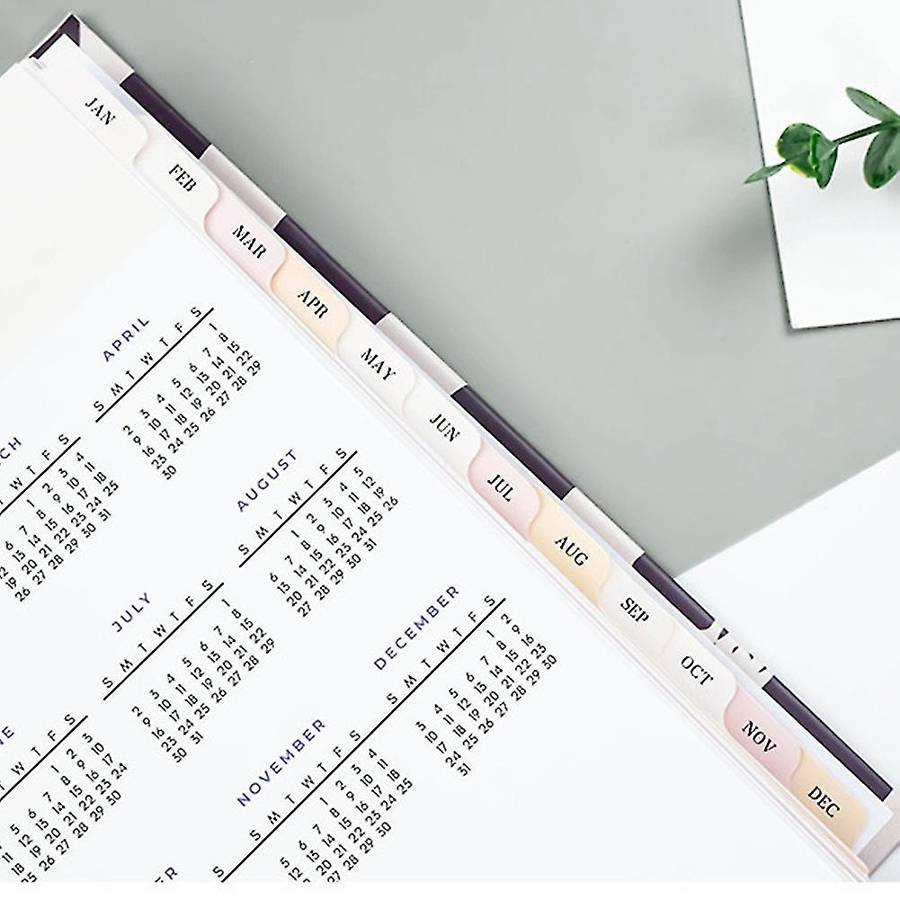 A5 Daily Weekly Planner Weekly Goals Schedules School Supplies A