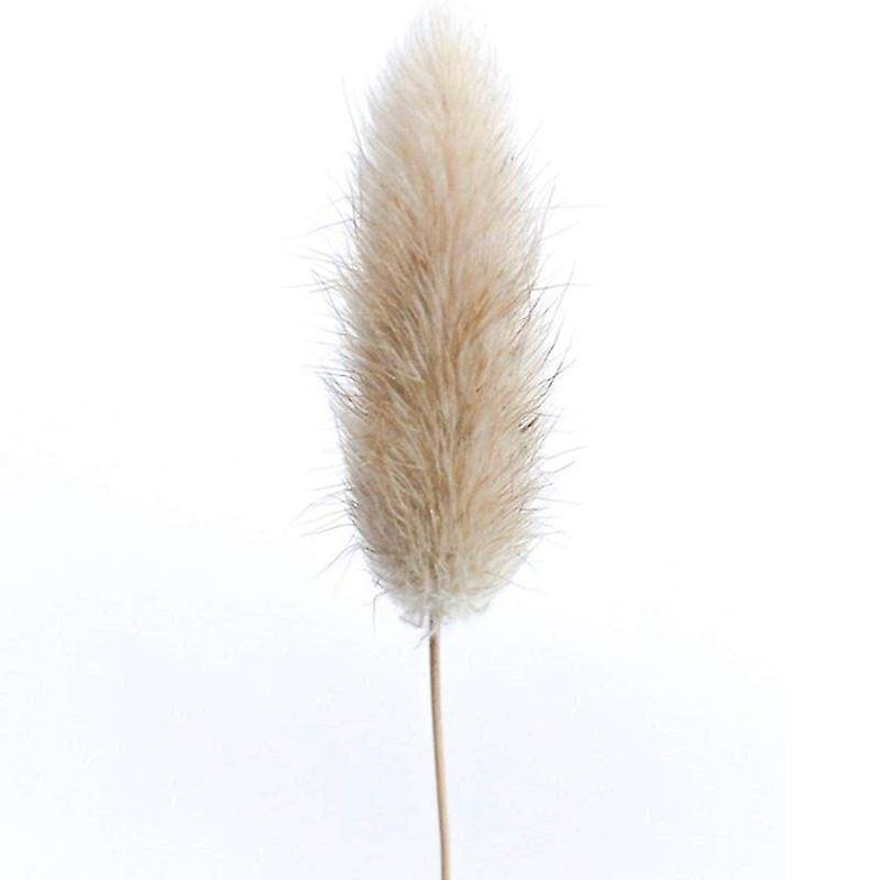 50pcs Natural Raw Color Dried Flowers Real Flower Bouquet for Home Wedding Decoration Rabbit Tail G