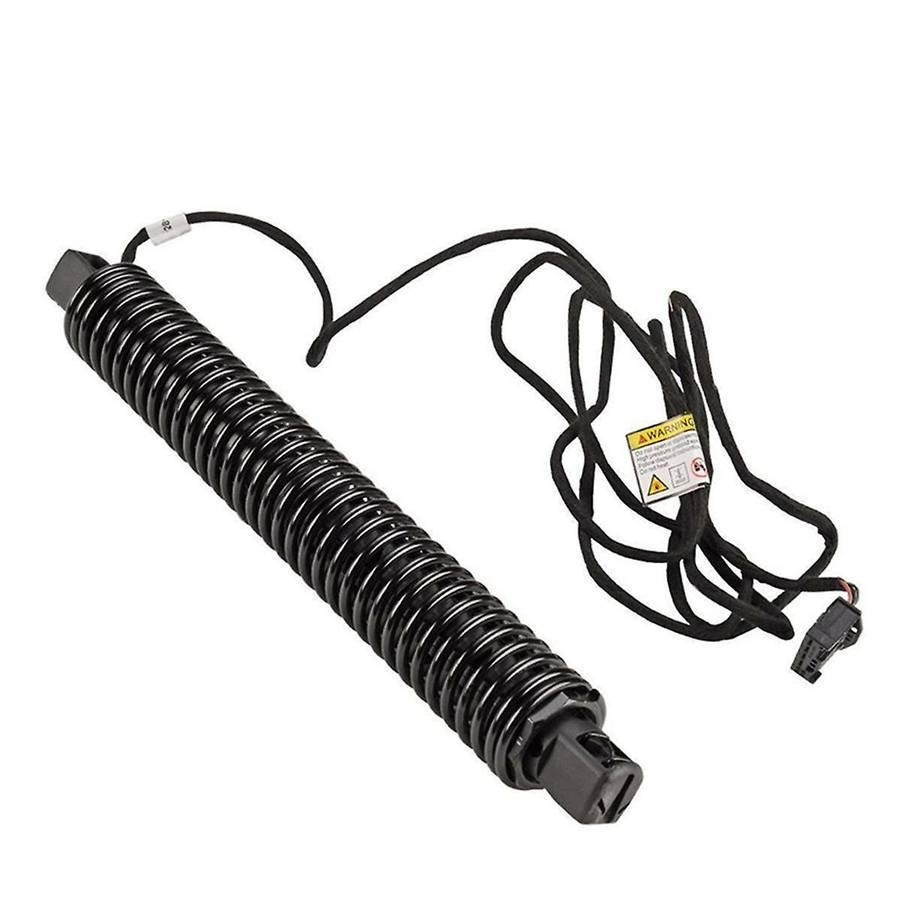 51247373438 Rear Left Liftgate Hatch Trunk Lift Support Strut Shock Trunk Lid Spring for 5 Series F1