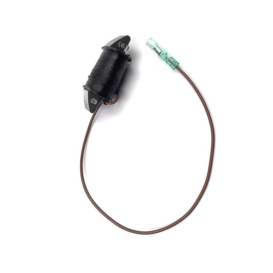 6h3-85520-00 Charge Coil for Outboard 2 Stroke 50hp 60hp 70hp for 2t Parsun Seatec Outboard Motor