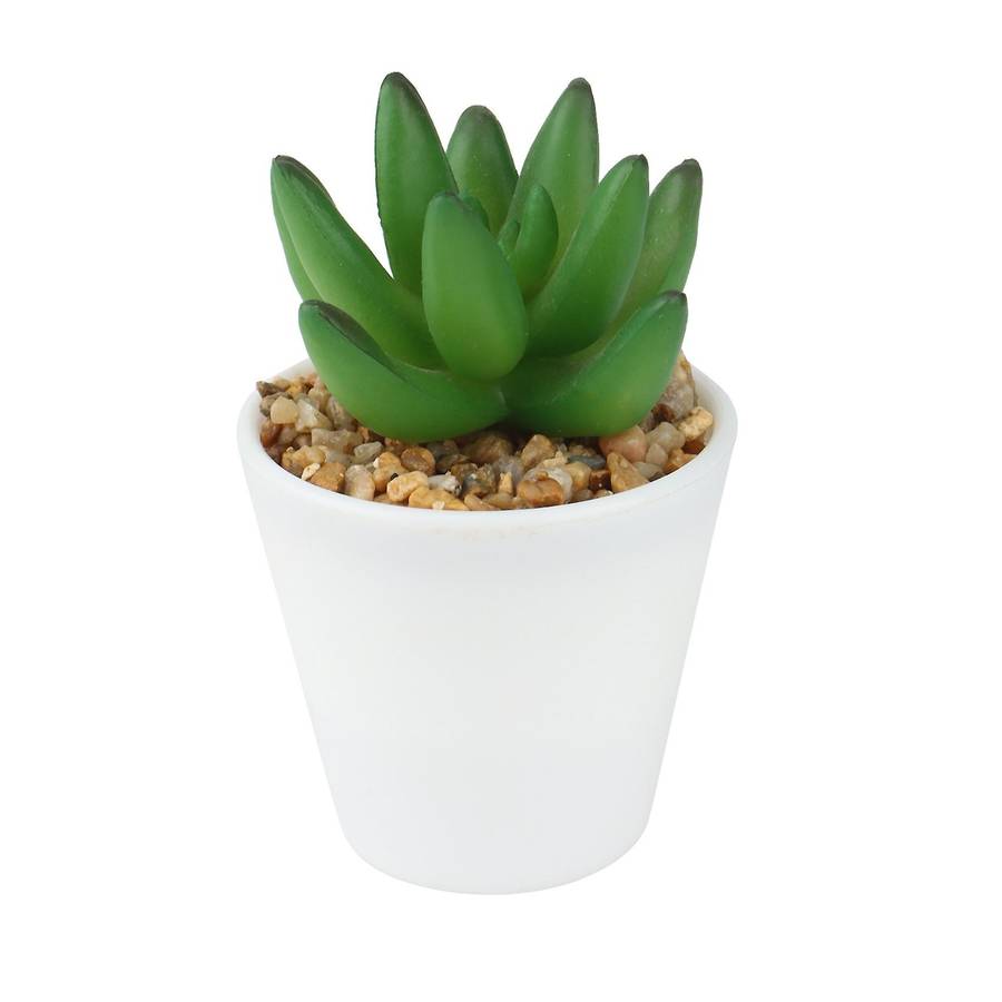 Artificial Mini Succulent Plants Set of 5, Small Succulent, Plants Small Potted, in Light Grey Pot