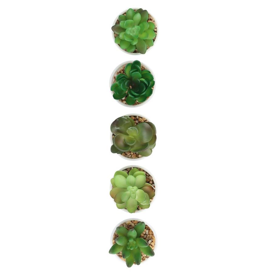 Artificial Mini Succulent Plants Set of 5, Small Succulent, Plants Small Potted, in Light Grey Pot
