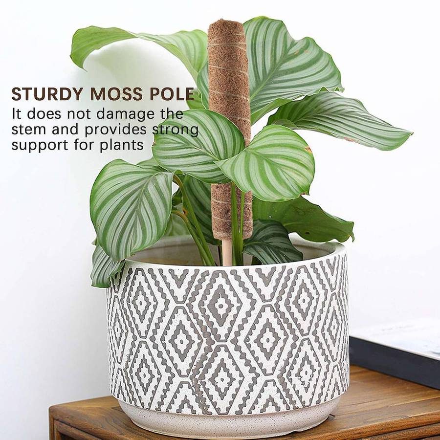 Moss Pole 40cm Moss Pole for Cheese Plant, Stackable Moss Stick and Ties, Coir Plant Support Indoor