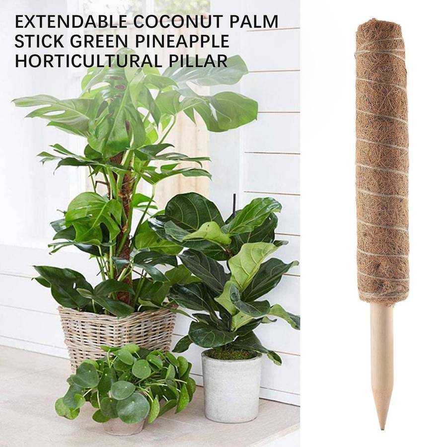 Moss Pole 40cm Moss Pole for Cheese Plant, Stackable Moss Stick and Ties, Coir Plant Support Indoor