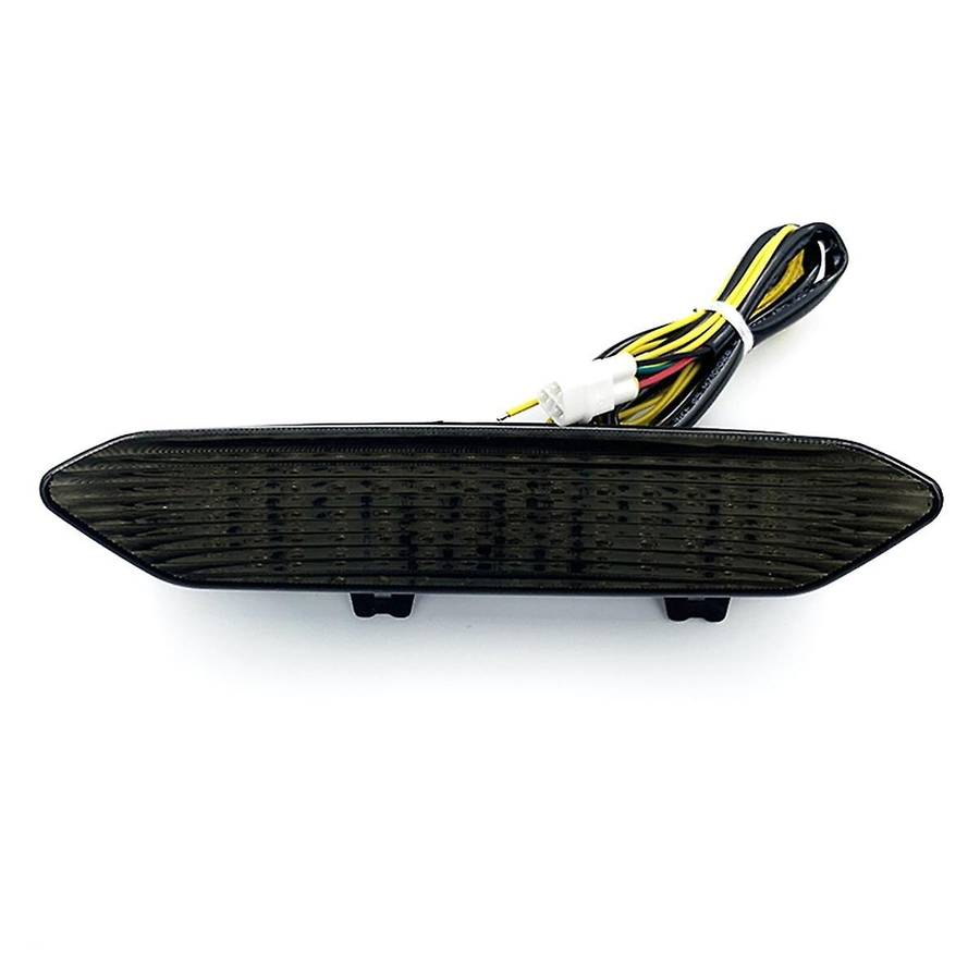 Motorcycle Rear Light Rear Tail Light Brake Turn Signals Integrated LED Light for YZF R1 2002 2003