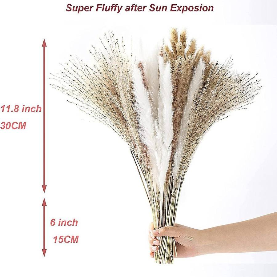 Pampas Grass Decor, 100pcs Natural Dried Fluffy Pompous Grass, 17.5inch Dried Flowers for Boho Home