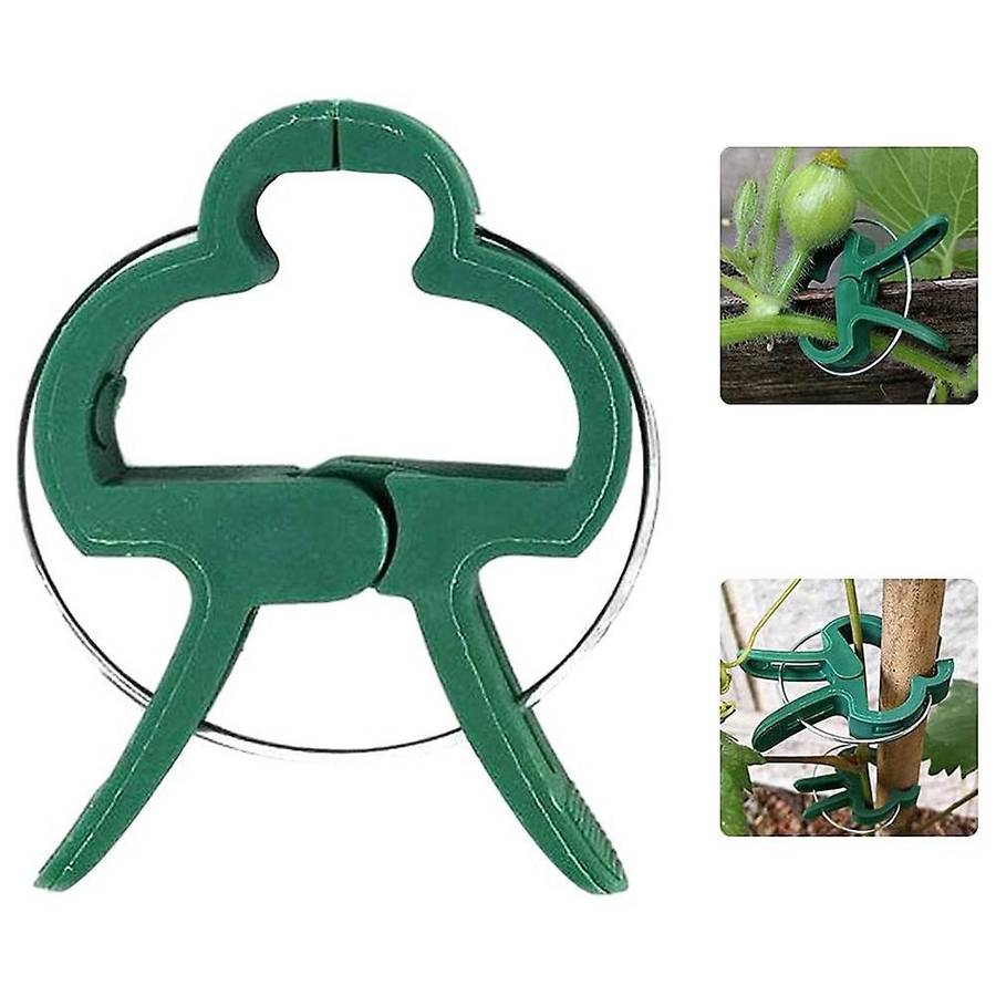 Plant Fixed Clips Reusable Garden Stem Vines Clamps Greenhouse Support Fastener Plant Climbing Wall